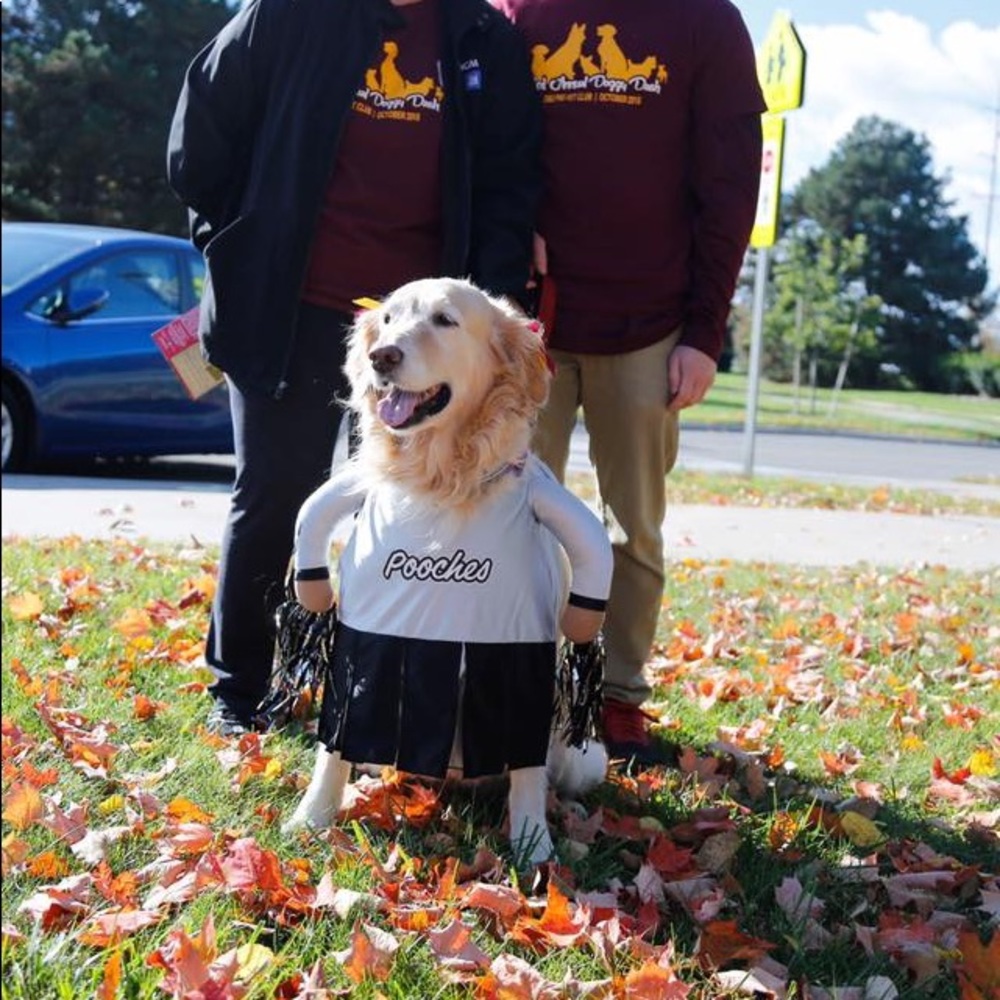 Dog costume - Halloween - Cheerleader - XL